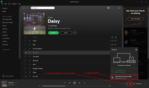 Spotify Desktop App Not Playing
